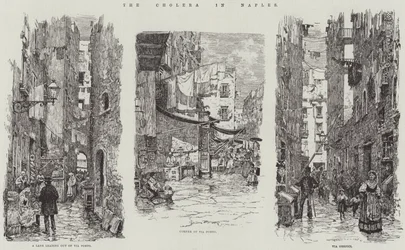 The Cholera in Naples